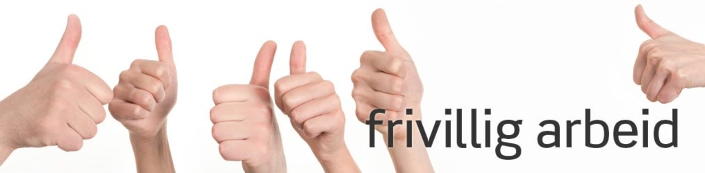 Internasjonale frivillighetsdagen